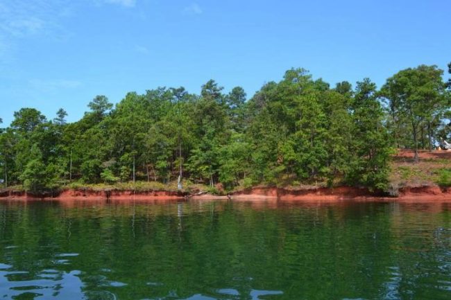 gorgeous-lake-martin-waterfront-lot gorgeous lake martin waterfront lot