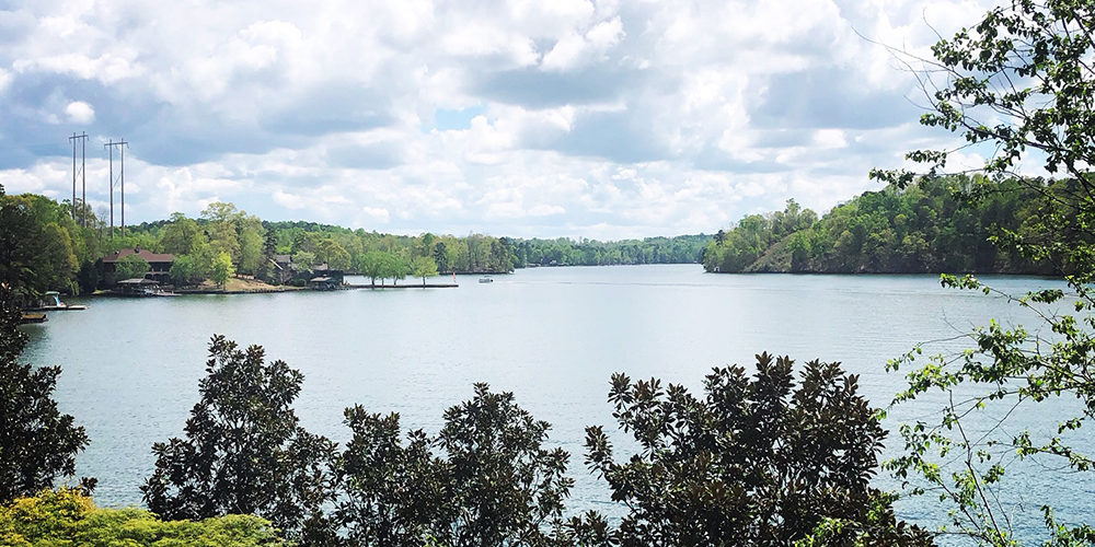 lake martin view
