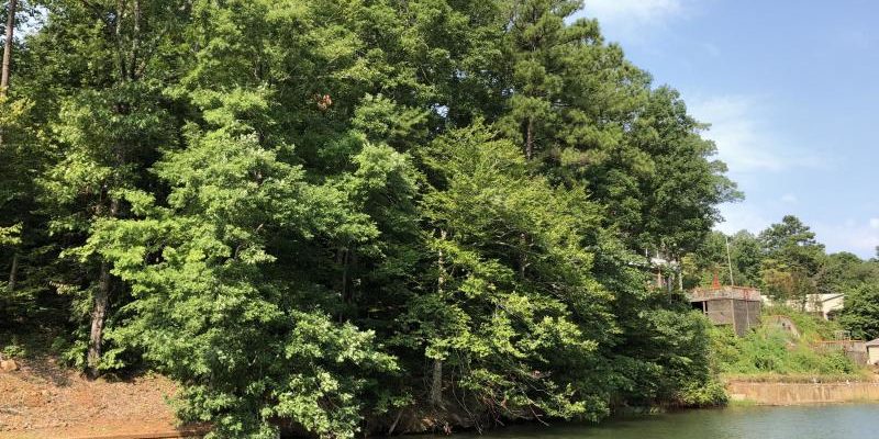 weatherford lot lake martin