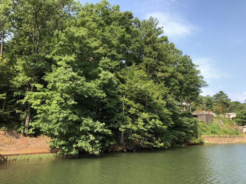 weatherford lot lake martin