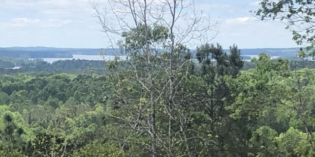 26 acres jacksons gap way