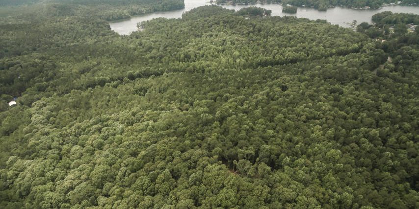 88 acres highway 49 dadeville al