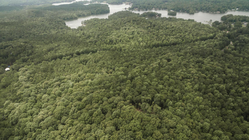 88-acres-7 88 acres highway 49 dadeville al