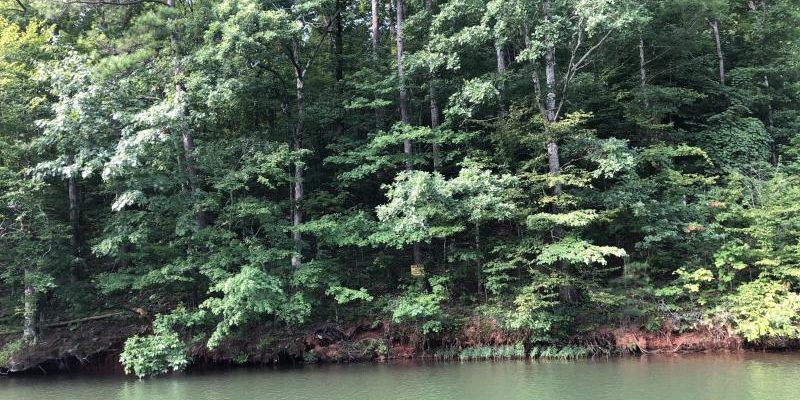 lot 3 weatherford circle lake martin