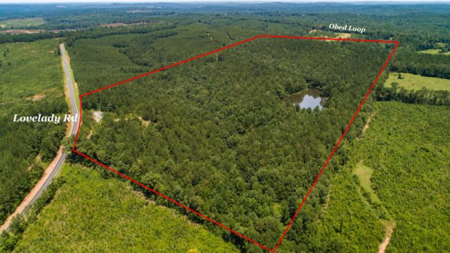 60-acres-hwy-50-dadeville-al-8 60 acres with pond lovelady road