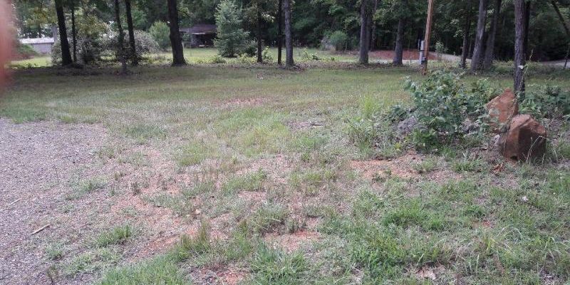 546-lakeview-drive-lake-martin 546 lakeview drive lake martin