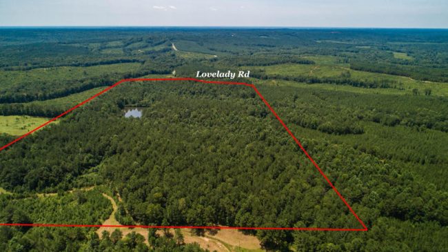 60-acres-lovelady-road-2 60 acres lovelady road dadeville al