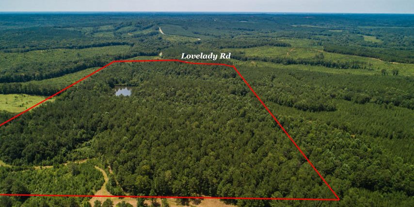 60 acres lovelady road dadeville al