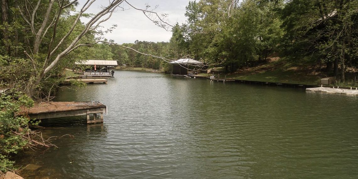 241 pine tree circle