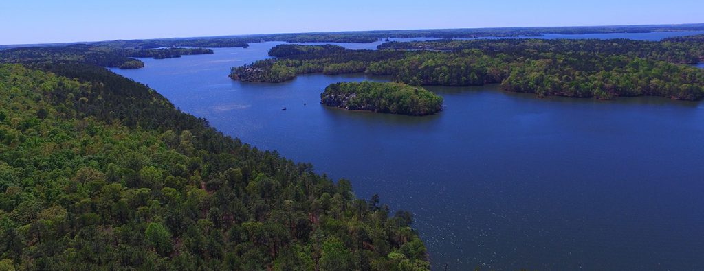Lake Martin