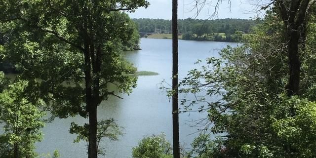 yates lake waterfront lot team windy mindy big fish lake martin