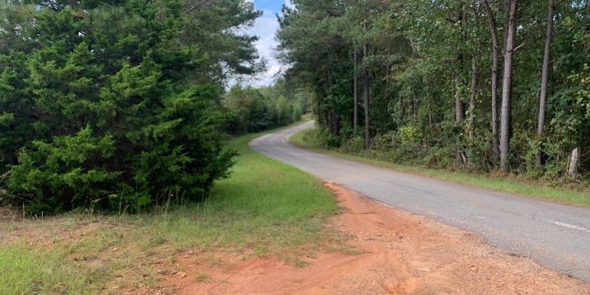 20 acres obed road team windy mindy big fish real estate