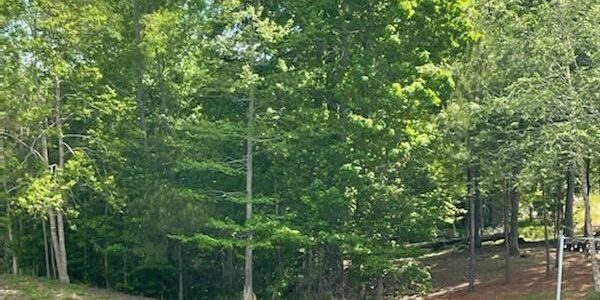 lot 24 paces way team windy mindy big fish lake martin