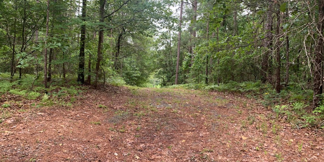 waterfront-lot-yates-lake-team-windy-mindy-big-fish-lake-martin waterfront lot yates lake team windy mindy big fish lake martin