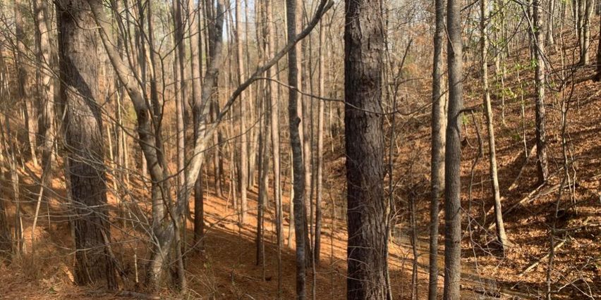 woodside drive team windy mindy big fish lake martin