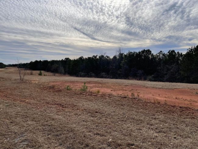 50-acres-lockhart-road-team-windy-mindy-big-fish-lake-martin 50 acres lockhart road team windy mindy big fish lake martin