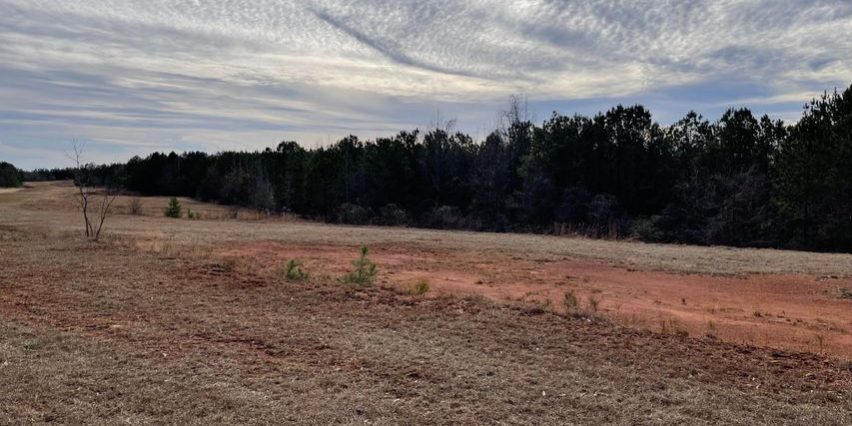 50 acres lockhart road team windy mindy big fish lake martin