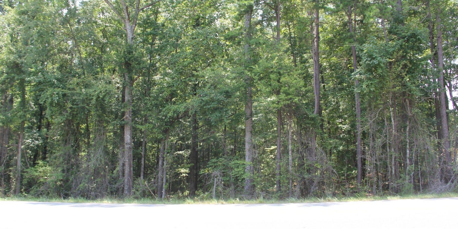 13-acres-hwy-49-south-team-windy-mindy-big-fish-lake-martin 13 acres hwy 49 south team windy mindy big fish lake martin