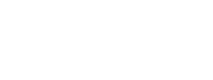 big fish real estate transparent logo 300-114