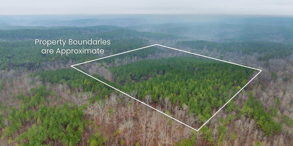 38 acres rock springs team windy mindy big fish lake martin