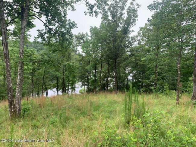 parcel-b-mcclures-point-team-windy-mindy-big-fish-lake-martin parcel b mcclures point team windy mindy big fish lake martin