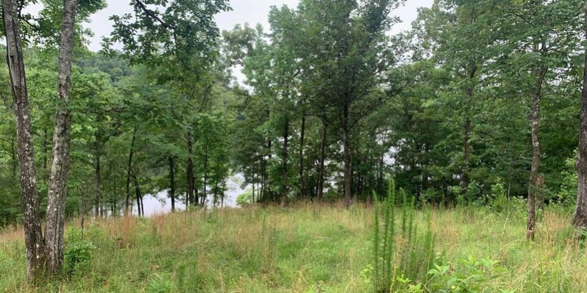 parcel-b-mcclures-point-team-windy-mindy-big-fish-lake-martin parcel b mcclures point team windy mindy big fish lake martin