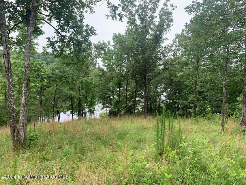 parcel b mcclures point team windy mindy big fish lake martin