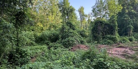 128 pine hill road team windy mindy big fish lake martin