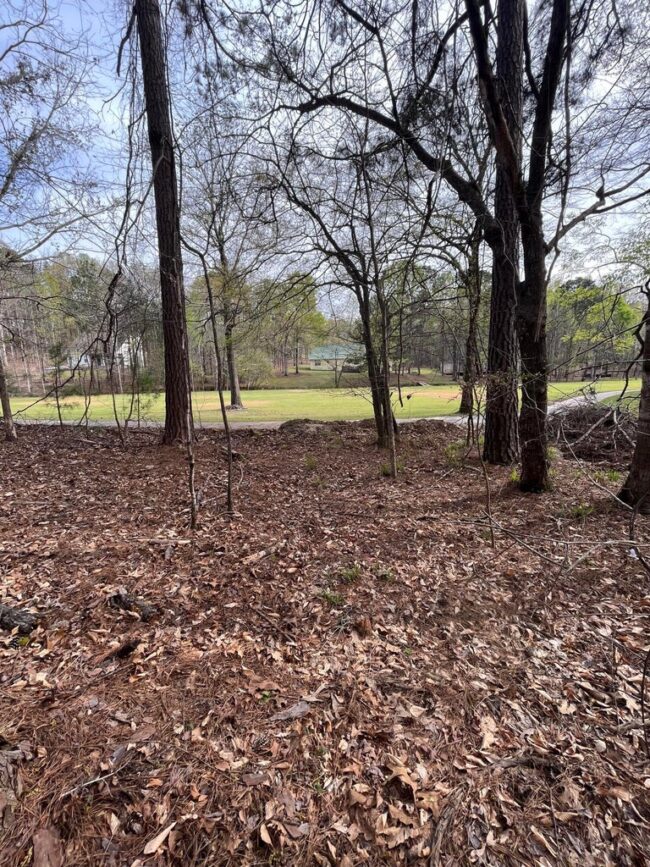 lot 119 hickory way big fish lake martin