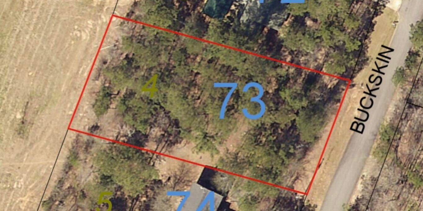 lot 24 buckskin team windy mindy big fish lake martin