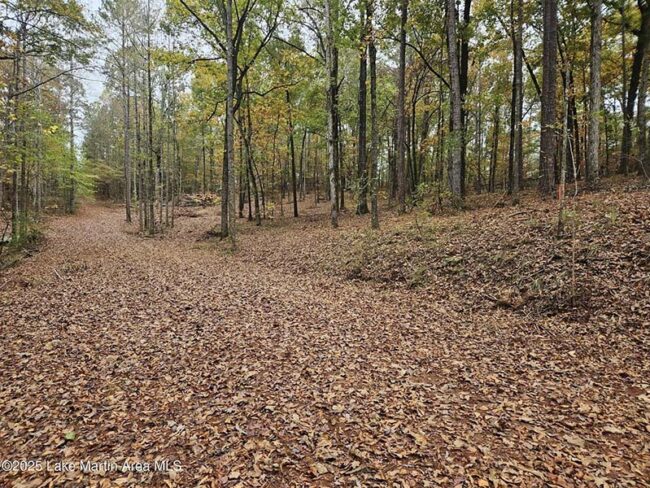 lot 31 redbud lane team windy mindy big fish lake martin