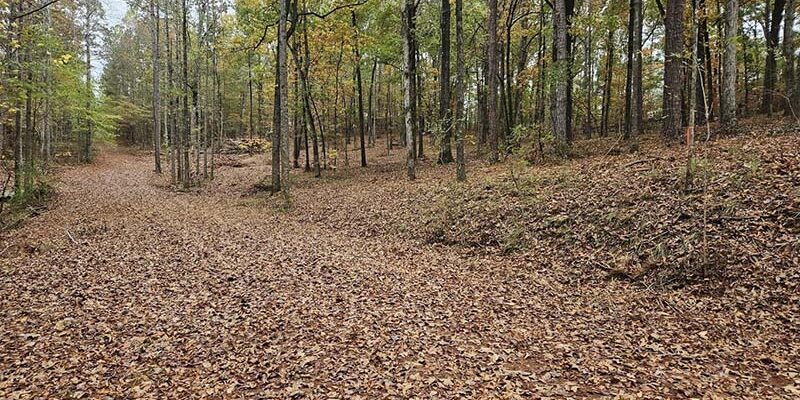 lot 31 redbud lane team windy mindy big fish lake martin