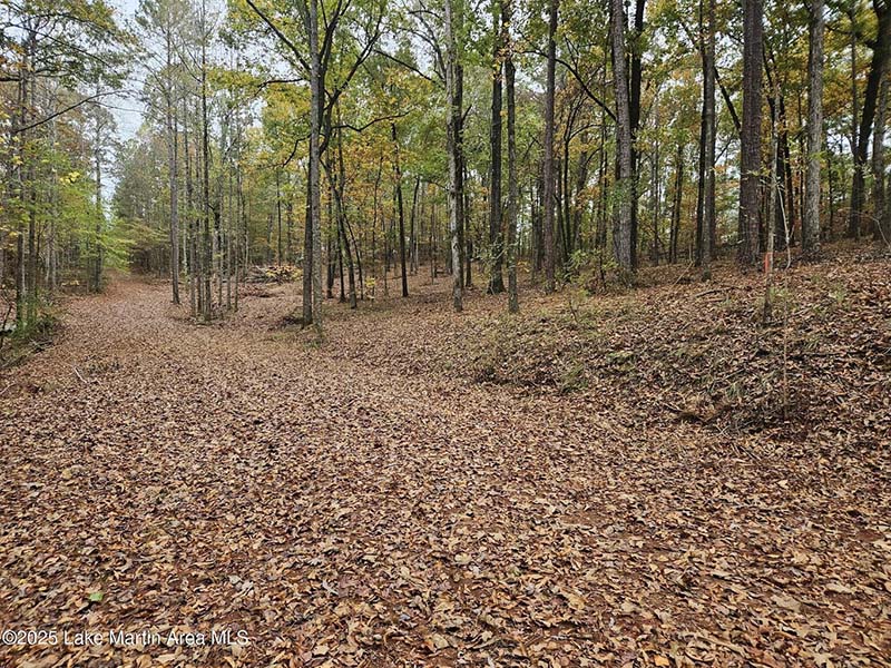 lot 31 redbud lane team windy mindy big fish lake martin