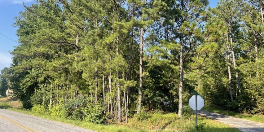 peckerwood lot jacksons gap