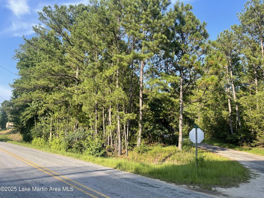 peckerwood lot jacksons gap