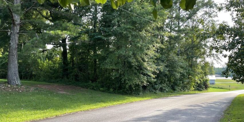 wooded lot mckelvey street