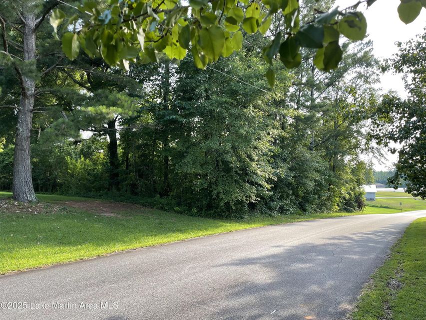 wooded lot mckelvey street