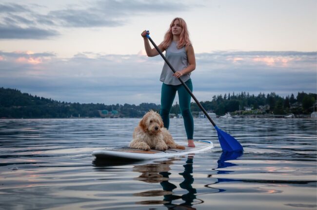 Dog on paddle board