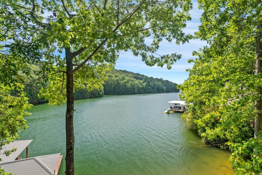 View of a cove on Lake Martin