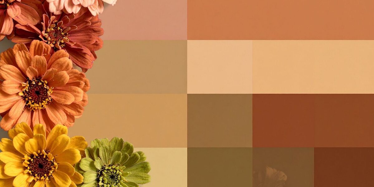 Warm spice tones for fall.