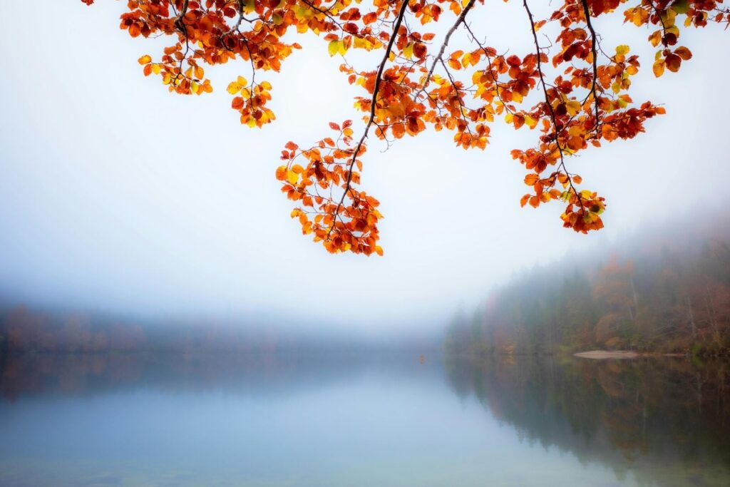 Fall mist at the lake