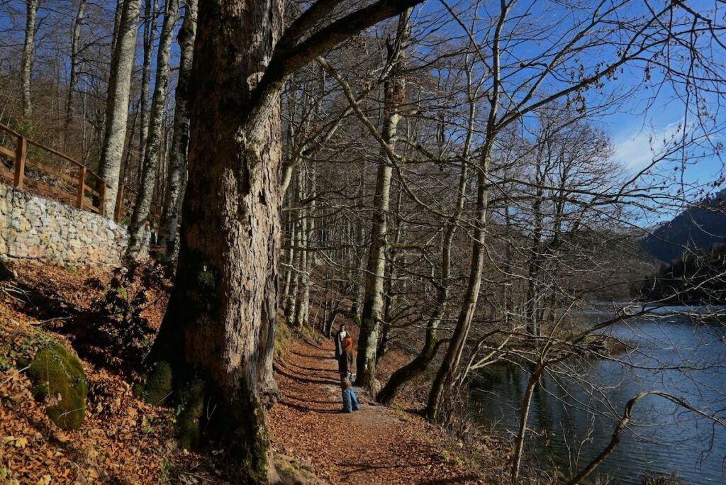 People walking along a lake path