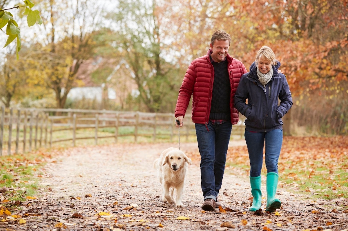 Untitled design – 4 Couple walking the dog on a rural road