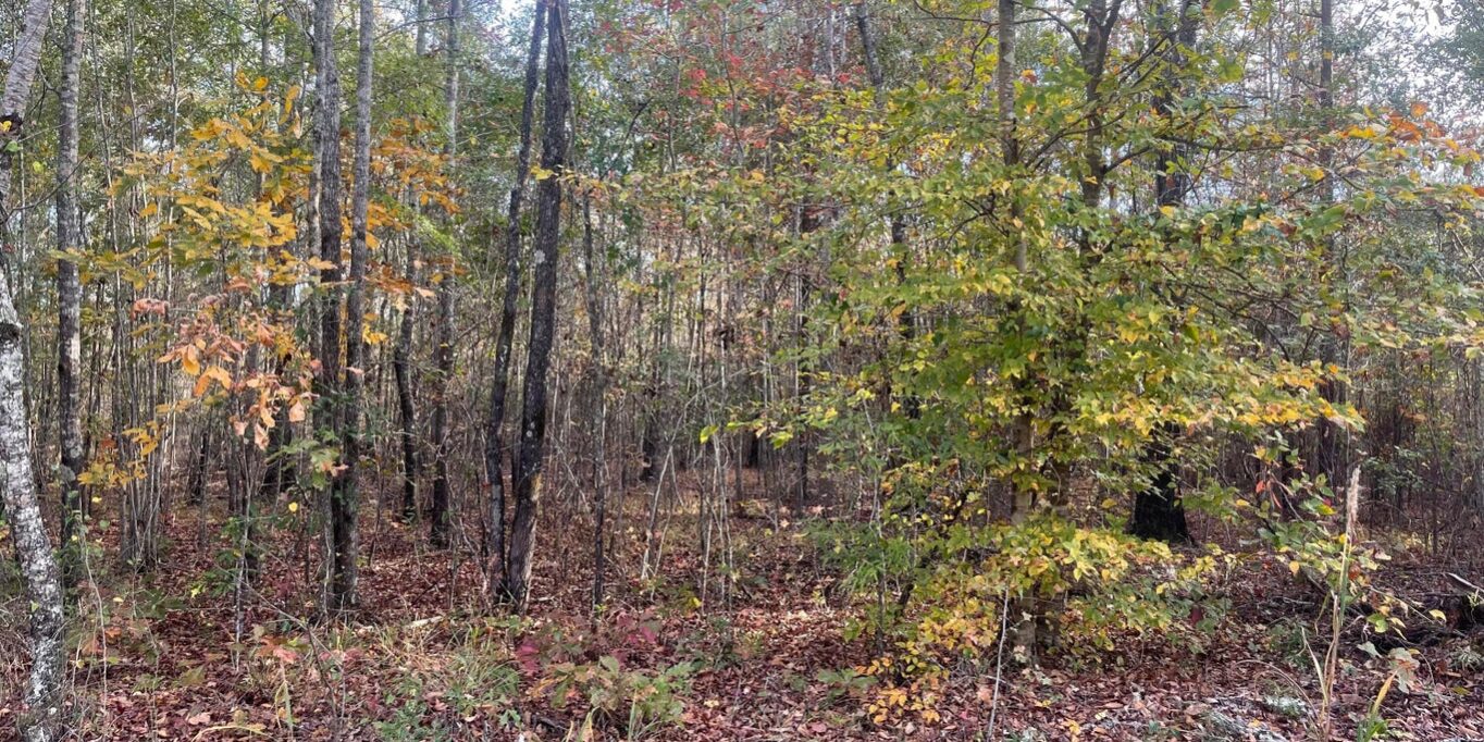 acreage sessions road