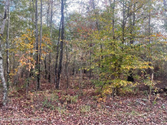 acreage-sessions-road acreage sessions road