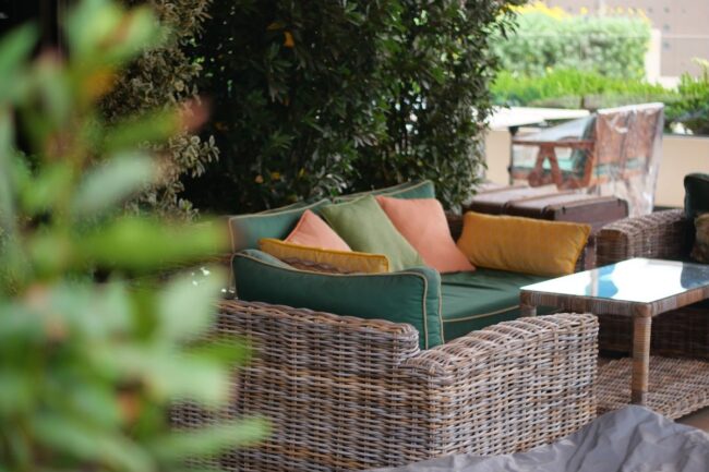 Private patio with plant screen