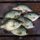Crappie catch on a dock